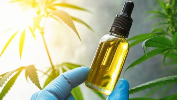 Reliable Outlet to Buy Quality CBD Oil Online
